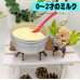 画像1: (２個セット（4袋)割引）フェレットのミルク【成長期用】（０〜２歳） (1)