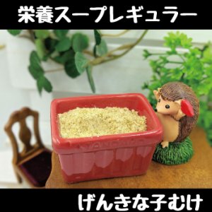 画像1: フェレットの栄養スープ【レギュラー】おやつに、基本補助食に。丈夫なフェレットになります