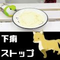 【よく起こす下痢に】フェレットの下痢ストップサプリメント【腸のための栄養】