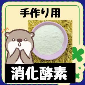 画像1: 【手作りごはんの難しいところをフォロー】手作りごはん専用消化酵素(25%増量）