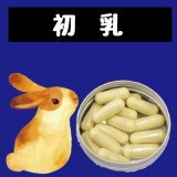 個別リンク　フェレットのための初乳【免疫・感染・トランスファーファクター】(無乳糖)