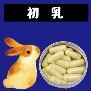 画像1: 個別リンク　フェレットのための初乳【免疫・感染・トランスファーファクター】(無乳糖)