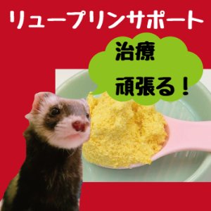 画像1: 【リュープリン使用時に】フェレットのリュープリン栄養サポート【絶対栄養が不足します】