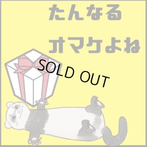 画像1: 飼い主さんによるおしっこ観察のおまけ