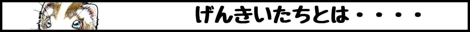 げんきいたちとは