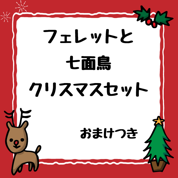 【クリスマス】フェレットと過ごすクリスマスセット（同梱不可）